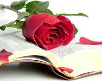 Bible Rose
