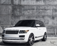 Rover Ranged White