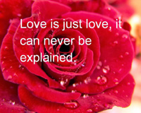 Cinta Quotes Love Is Cinta