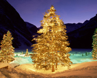 Merry Christmas Happy New Year 05