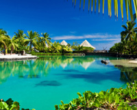 Tropical Paradise 01
