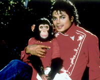 Michael Jackson With Monkey
